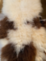 Sheepskin Rug