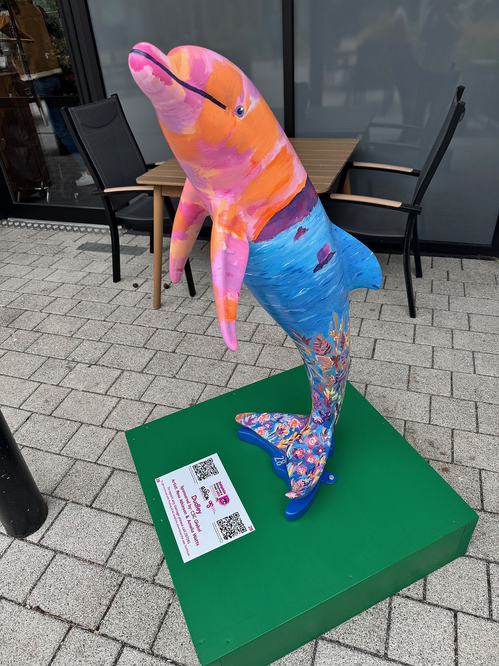Dolphin 2 (1).jpg