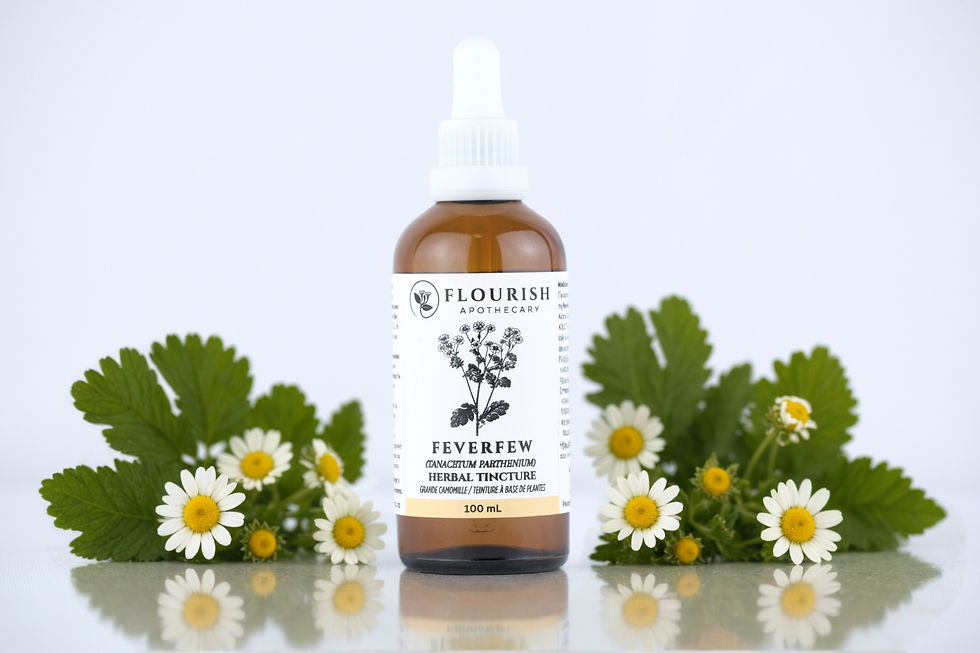 Organic Feverfew Tincture made by Flourish Apothecary of Victoria, BC