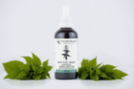 Organic Nettle Seed Tincture made by Flourish Apothecary of Victoria, BC