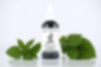 Organic Nettle Leaf Tincture made by Flourish Apothecary of Victoria, BC