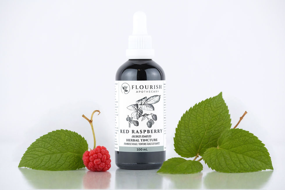 Organic Red Raspberry Leaf Tincture made by Flourish Apothecary of Victoria, BC