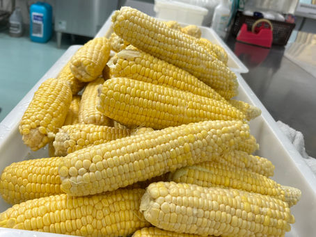 🌽トウモロコシいただきました!