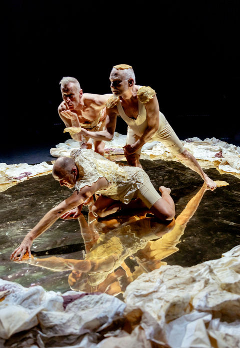 from Turning Vinegar into Wine