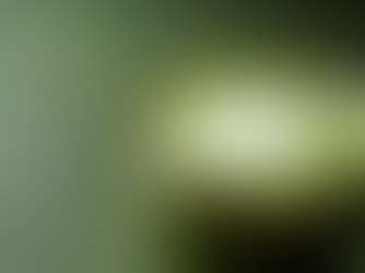 Matcha-Rezepte: Kreative Ideen für jeden Tag