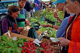 Consumers looking at vegetables at a farm market