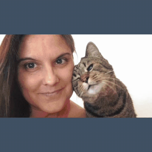 LE CAT E DOG SITTER