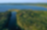 Copy of Thonga trails - website (6).png