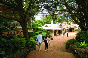 Explore your own backyard - Beerwah and Hinterlands