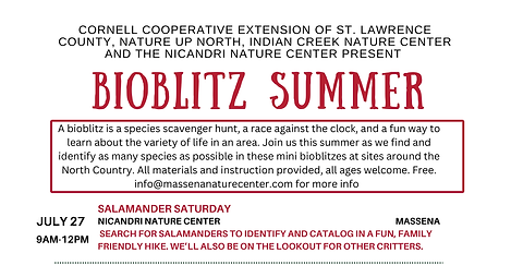 Bioblitz #3.png