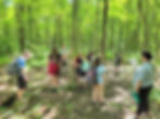Woods Walk