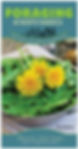 Front cover of "Foraging in North America."
