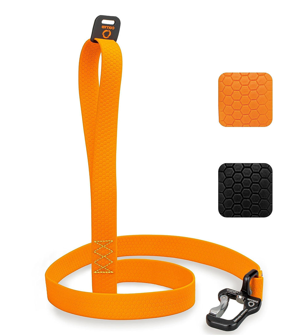 Miniatura: Orange Extra Heavy Duty Dog Leash 4 Ft x 1 in for Large Medium and Small Dogs