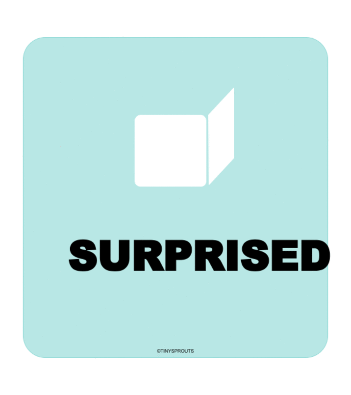 Surprised Animated.gif