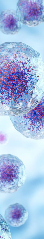 epigenetic-noise-changes-cellular-identity-403742-960x540_edited.jpg