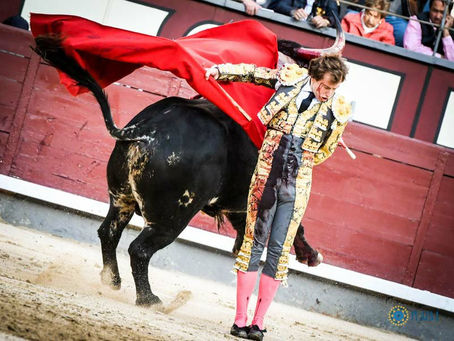 MADRID: Vuelta al ruedo al valor y firmeza de Román