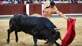 MADRID: Destaca Jiménez Fortes ante una gran corrida de Arauz de Robles