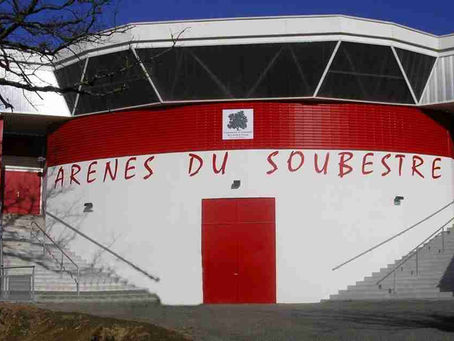 ARZACQ (Francia): Novillada sin picadores