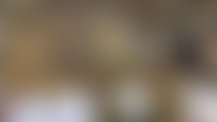 EL PUERTO: Morante reafirma su trono, Roca Rey impone su poder y Daniel Crespo se consagra