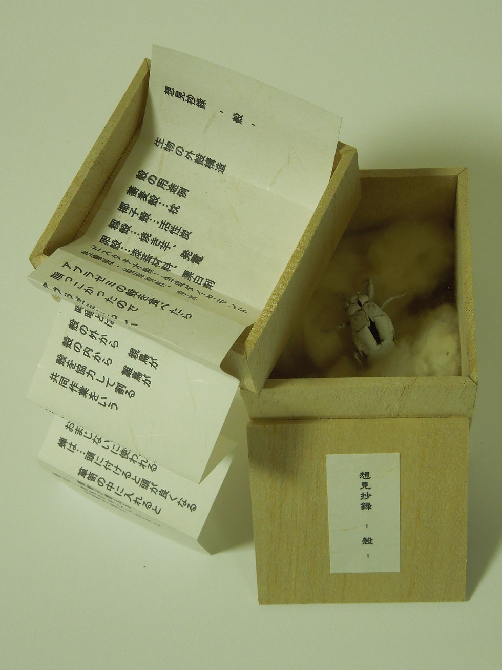 -殻-