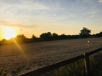 HSI immobilier equestre Vendee 85