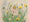The Dandelion Fairy