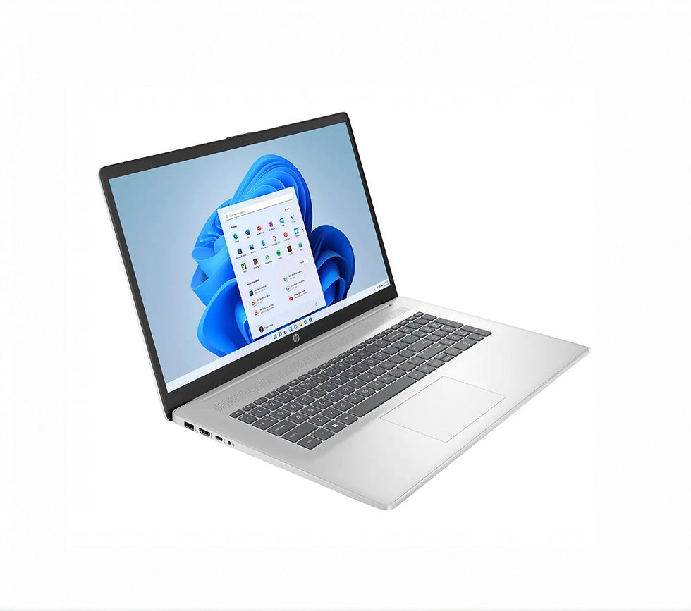 HP 17-cn3135nw Intel® Core™ i5 i5-1334U Laptop WIN11 Home