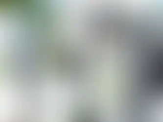 Computer screen in office shows a video call with charts and a $2.21 data point. Plant and lamp nearby, bright and modern setting.