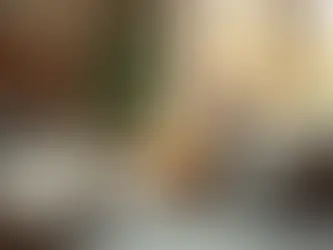 Hairless cat sits on a couch using a laptop. Sunlit room with a plant, soft cushions, and large windows in the background. Cozy and curious mood.