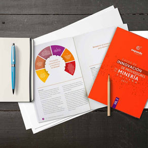 Libro Casos de Innovación en Minería 