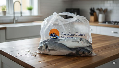 WhatsApp Image 2025-10-18 at 16.58.13_0efd4a0d.jpg