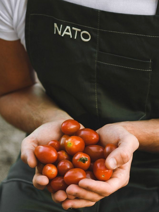 Chef holding fresh tomatoes in a restaurant kitchen, highlighting quality ingredients and a commitment to fresh seasonal produce.