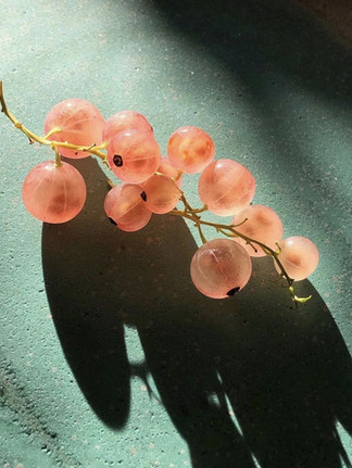 Fresh grapes in natural light representing sensory details and hospitality experience design