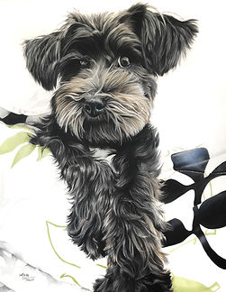 Olive - Colored Pencil Drawing