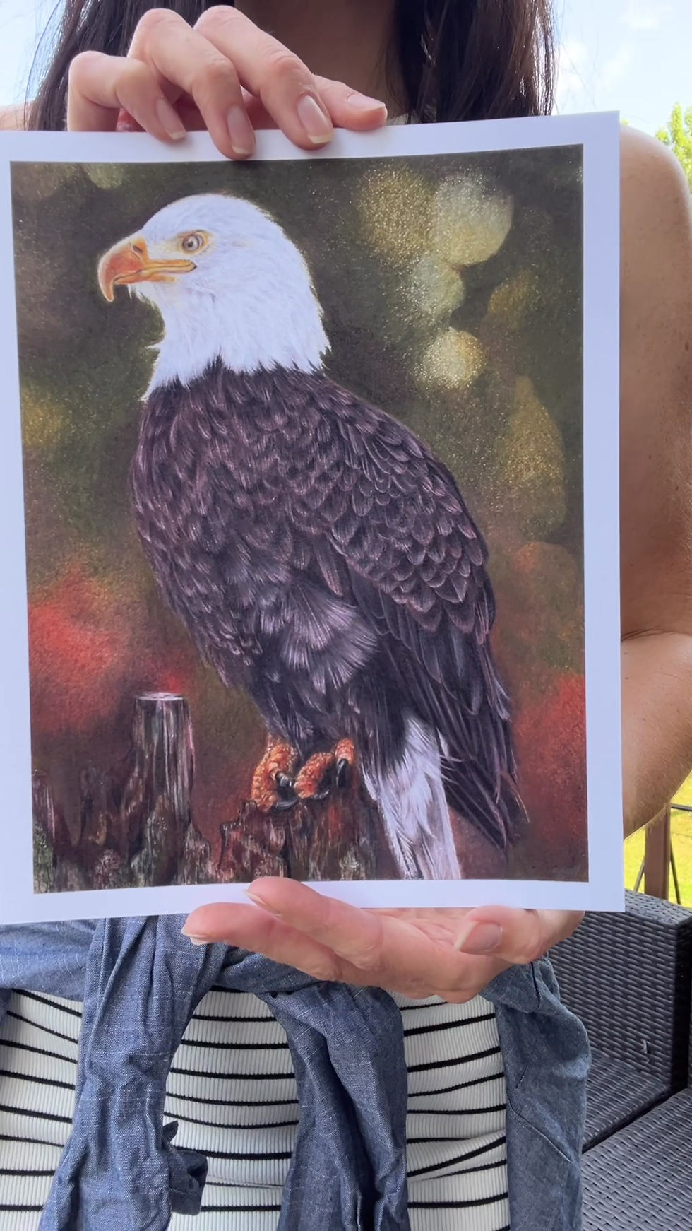 Thumbnail: Bald Eagle Print