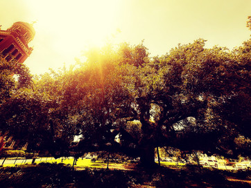 CEF58D07-D880-436A-A02E-48B7C97BD087