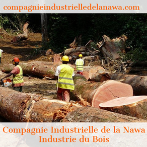 Industrie du Bois Compagnie Industrielle de la Nawa