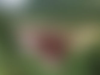 Un país vulnerable a la contaminación hídrica