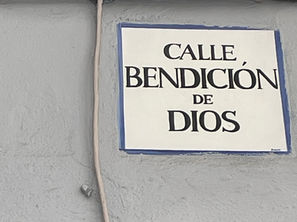 Newsletter Novembro 2025