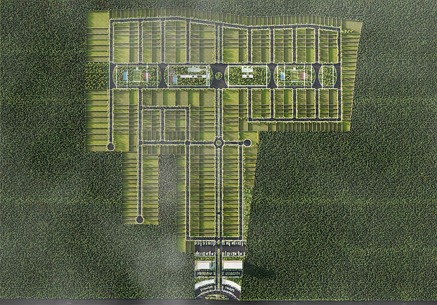 Master plan Endémico