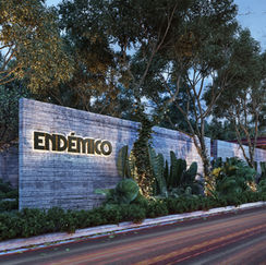 Residencial Endémico