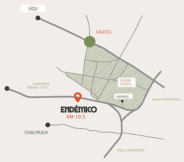 Croquis Endémico