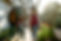 happy-african-american-family-holding-hands-and-wa-2022-01-19-00-02-55-utc.jpg