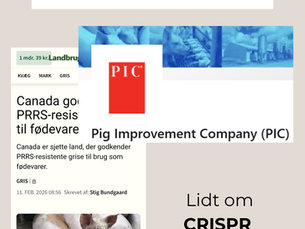 Skal vi hacke dyret eller systemet? Lidt om CRISPR