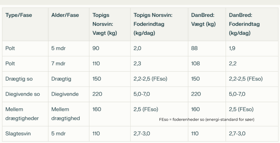dyrevelfærd, landbrug, veganisme, vegansk, mad, plantebaseret, etik, moral, dyreetisk, økologi, økologisk, øko, kød, opskrift, plantebaseret, tilbud, klima, kylling, æg