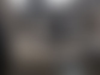 Dyrenes Beskyttelse: Kronisk lav dyrevelfærd, og treparten gør ondt værre