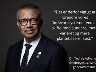 WHO's generalsekretær bakker op om Danmarks handleplan for plantebaserede fødevarer