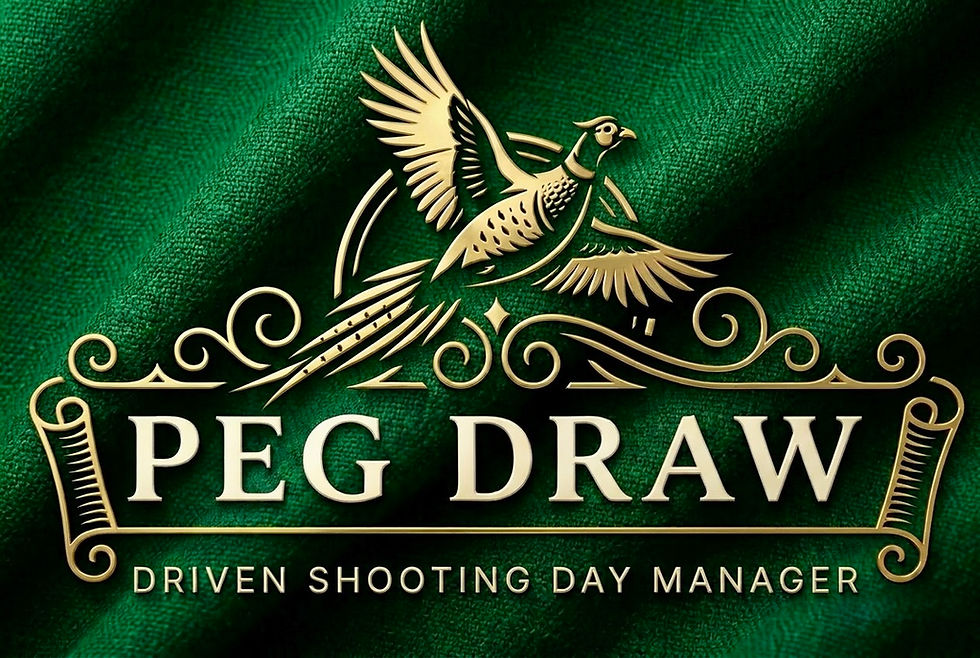 Peg Draw logo