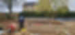 Landscaping By Instant Tree