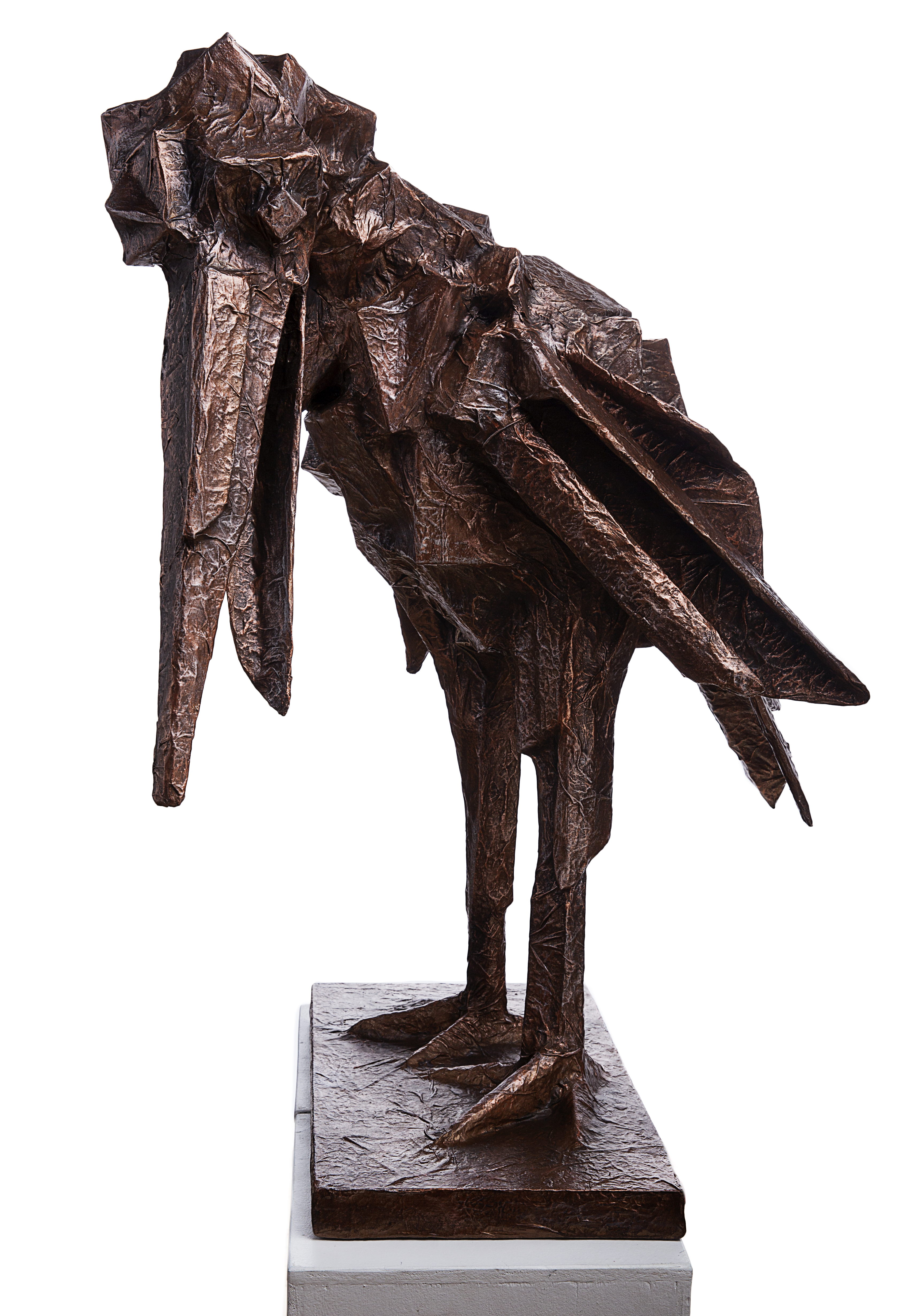Ruffled Feathers_3.jpg